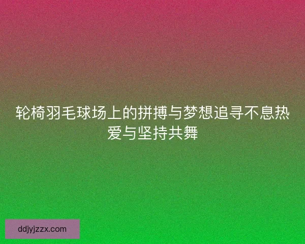 轮椅羽毛球场上的拼搏与梦想追寻不息热爱与坚持共舞
